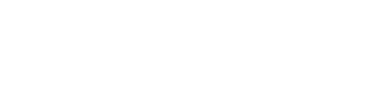Logo Bonhof Tandtechniek Wit
